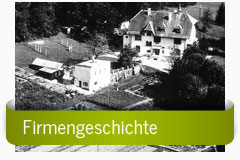 Firmengeschichte