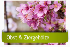Obst & Ziergehölze