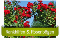 Rankhilfen & Rosenbögen
