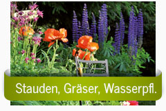 Stauden, Gräser und Wasserpflanzen